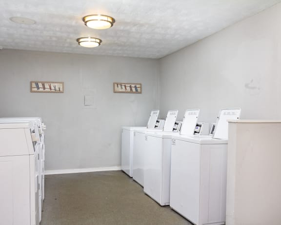 Photo Gallery Image
