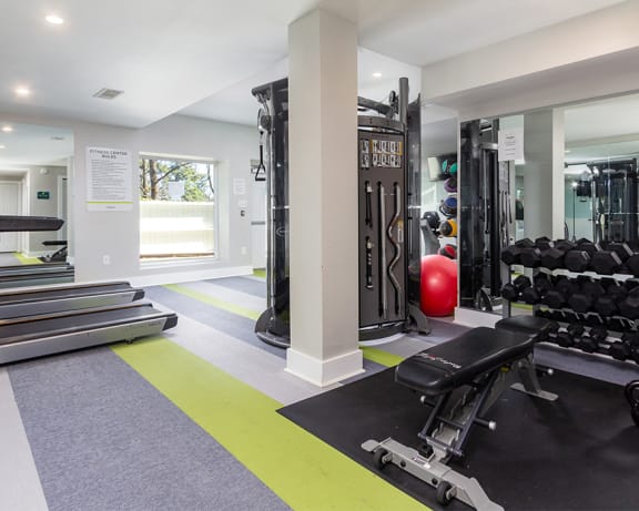 Photo Gallery Image