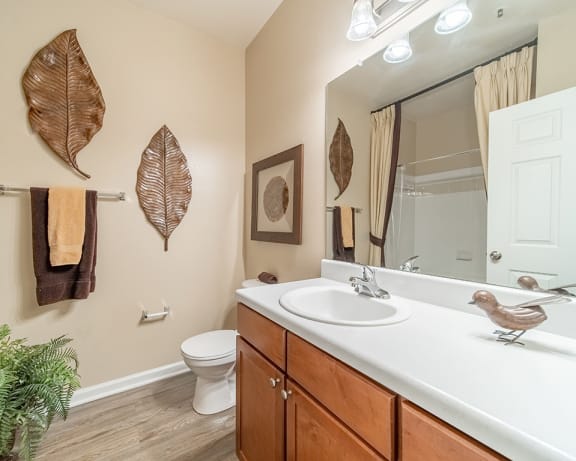 Photo Gallery Image