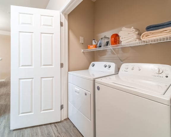 Photo Gallery Image