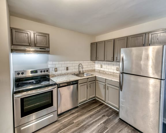 Photo Gallery Image