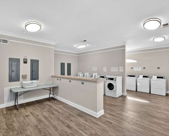 Photo Gallery Image
