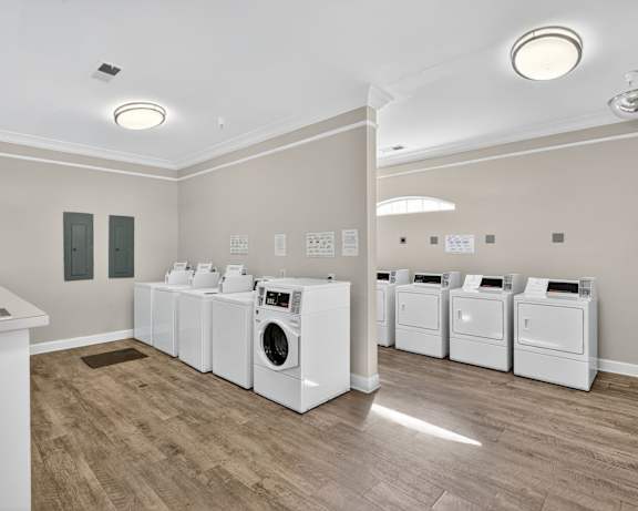 Photo Gallery Image