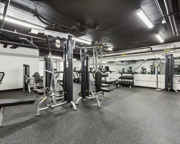 Photo Gallery Image