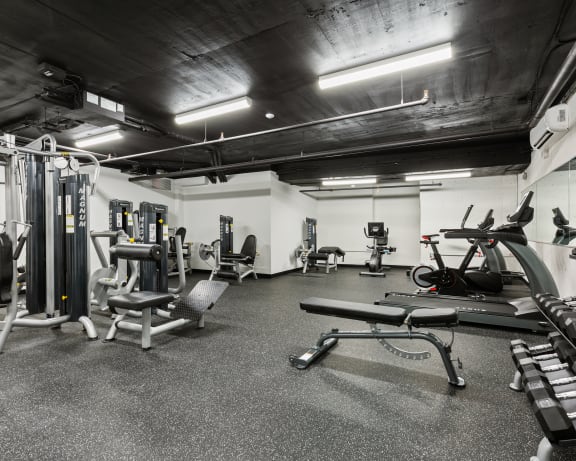 Photo Gallery Image