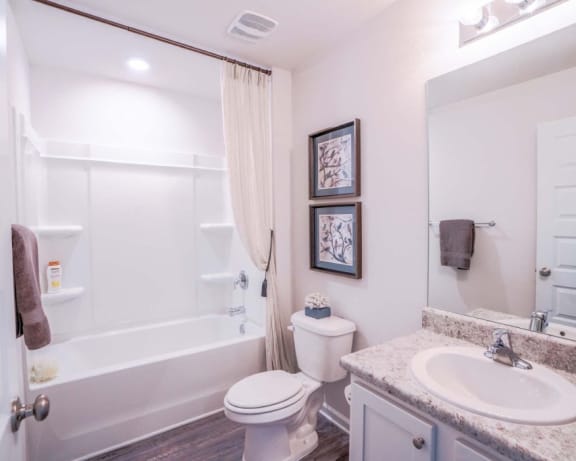Photo Gallery Image