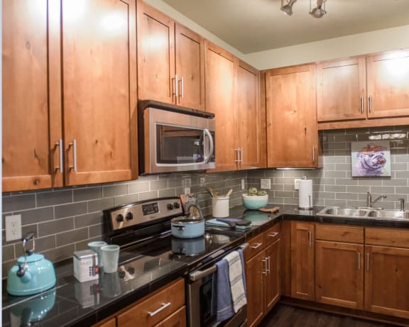 Photo Gallery Image