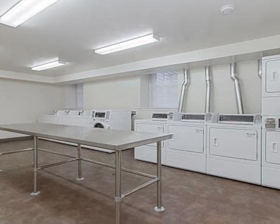 Photo Gallery Image