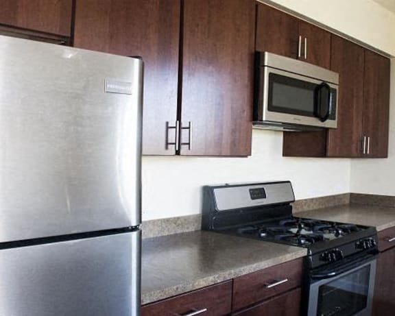 Photo Gallery Image