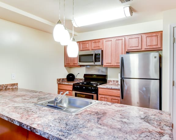 Photo Gallery Image