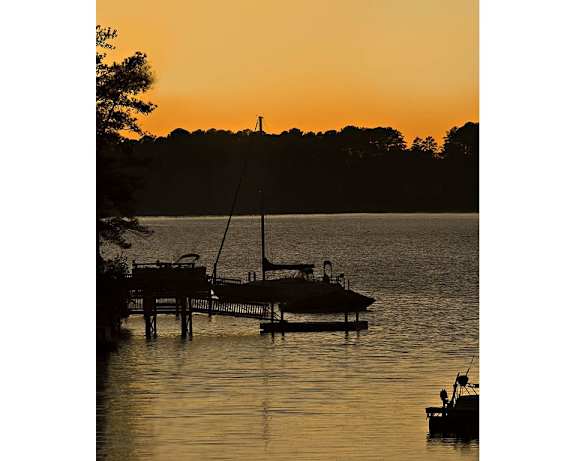 Photo Gallery Image