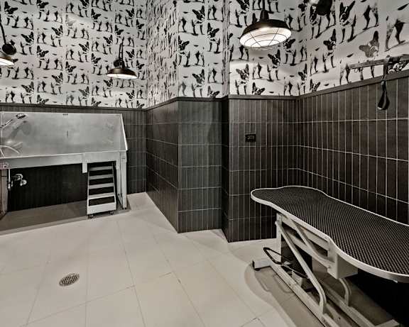 Photo Gallery Image