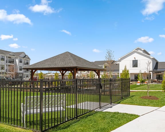 Photo Gallery Image