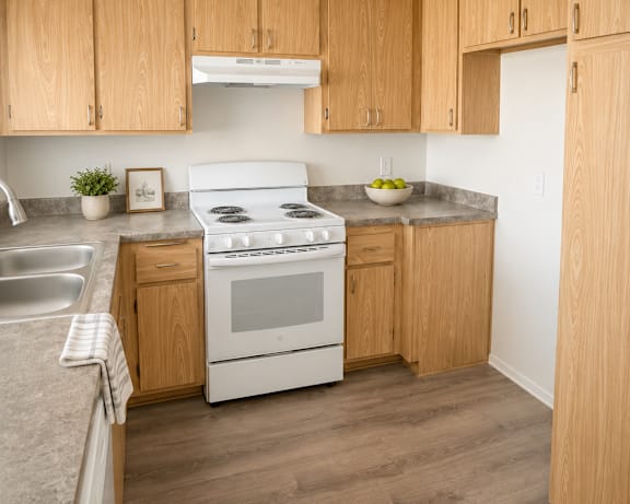 Photo Gallery Image