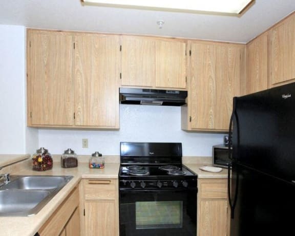 Photo Gallery Image