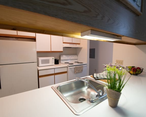 Photo Gallery Image
