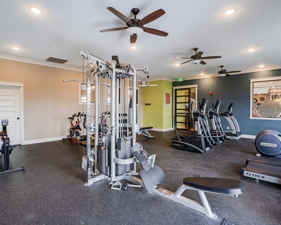 Photo Gallery Image