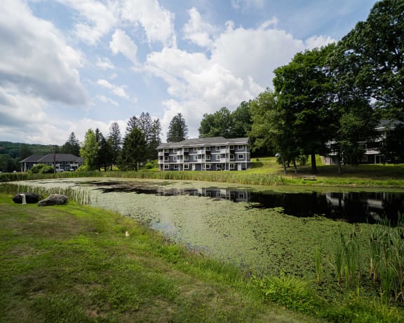 Photo Gallery Image