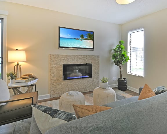 Photo Gallery Image