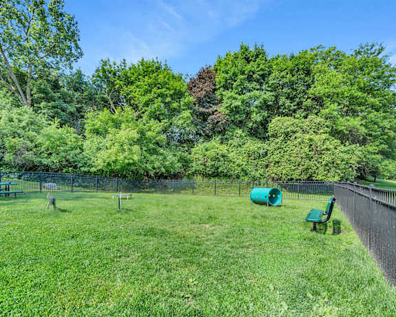 Photo Gallery Image