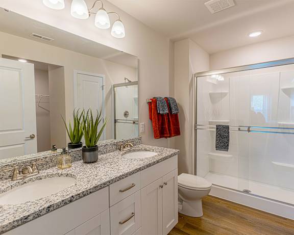 Photo Gallery Image