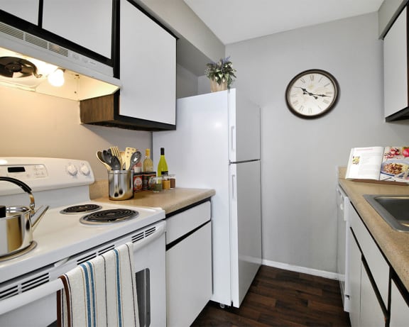 Photo Gallery Image