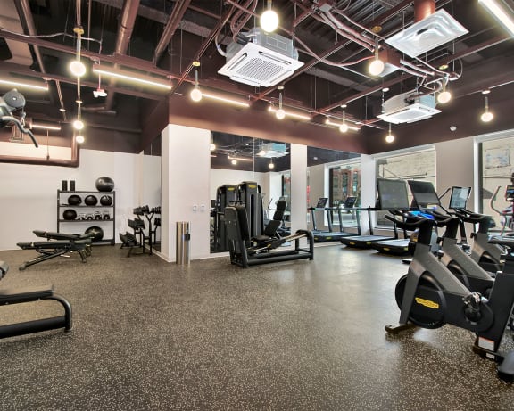 Photo Gallery Image