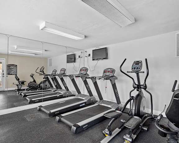 Photo Gallery Image