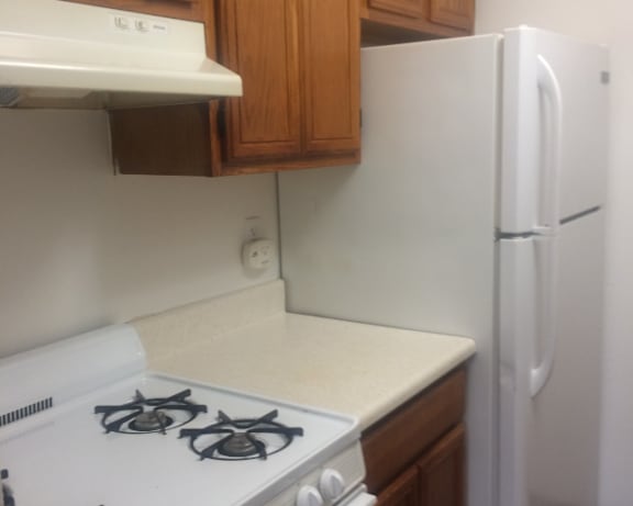 Photo Gallery Image