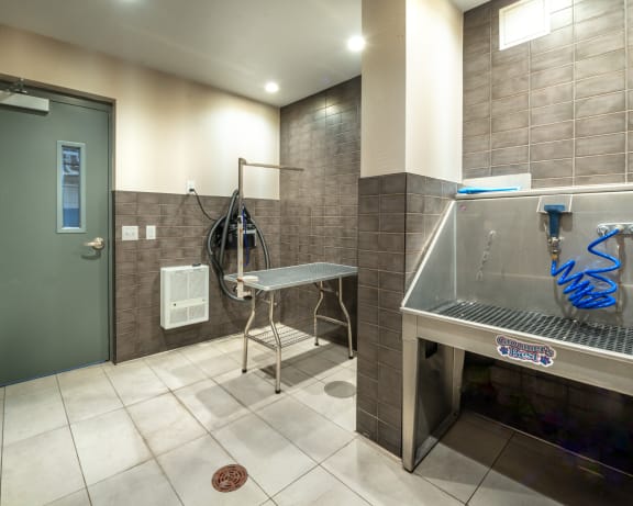 Photo Gallery Image