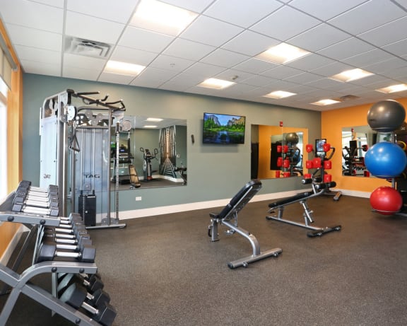 Photo Gallery Image
