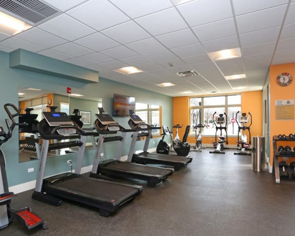 Photo Gallery Image