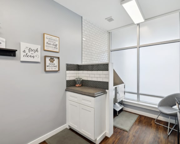 Photo Gallery Image
