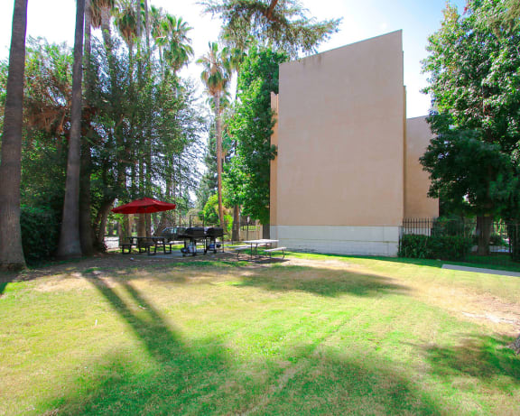 Photo Gallery Image