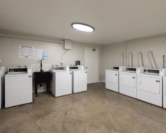 Photo Gallery Image