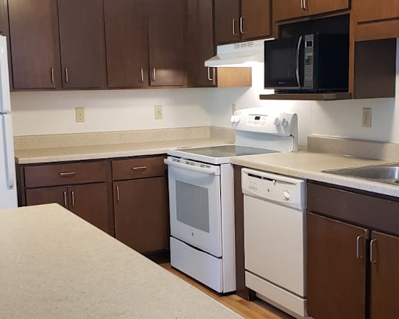 Photo Gallery Image
