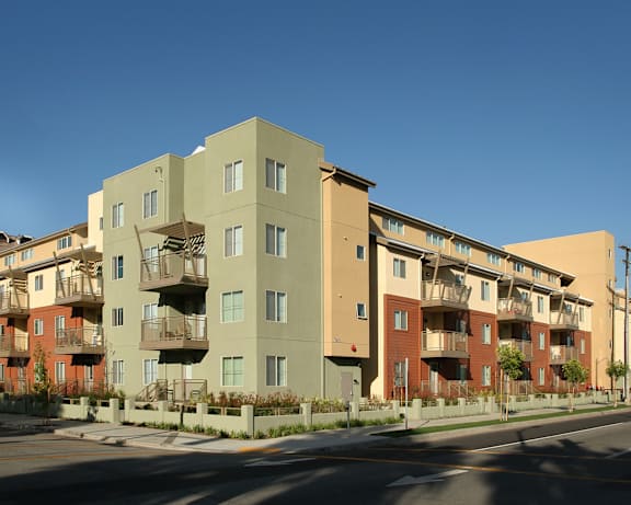 Photo Gallery Image