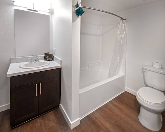 Photo Gallery Image