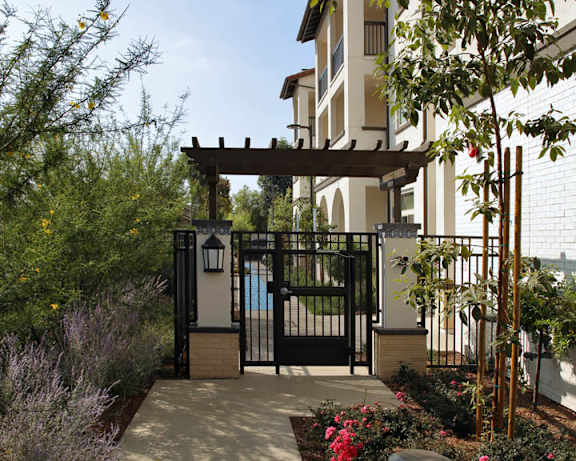 Photo Gallery Image
