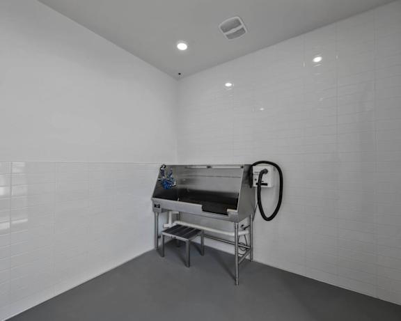 Photo Gallery Image