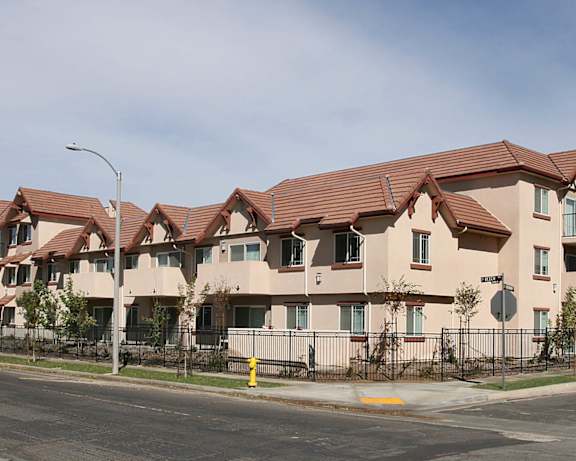 Photo Gallery Image