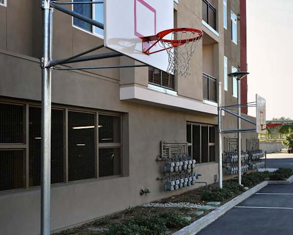 Photo Gallery Image