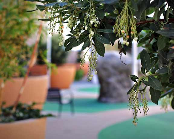Photo Gallery Image