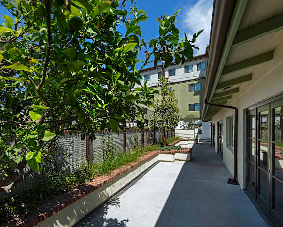 Photo Gallery Image