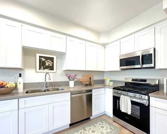 Photo Gallery Image