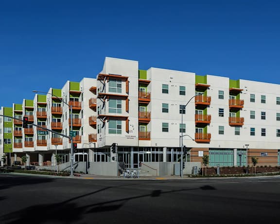 Photo Gallery Image