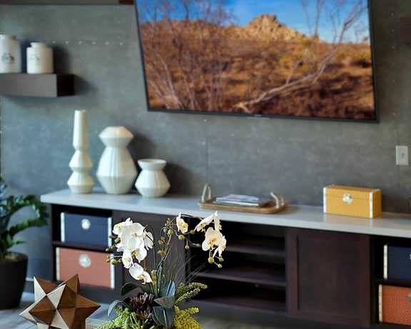 Photo Gallery Image