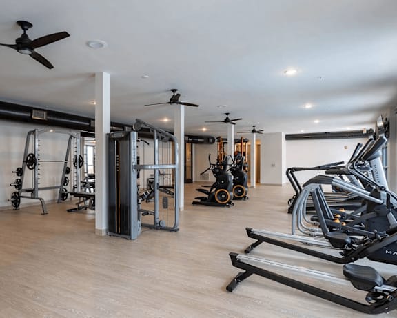 Photo Gallery Image