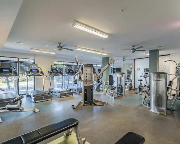 Photo Gallery Image