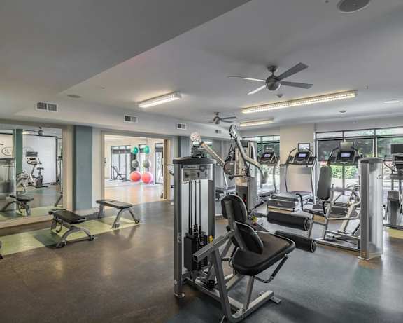 Photo Gallery Image